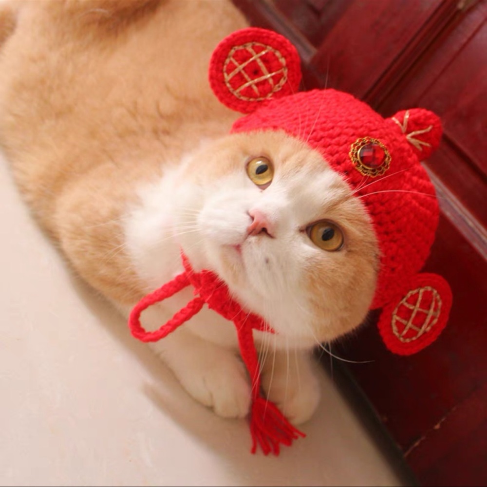 Cute Pet hat